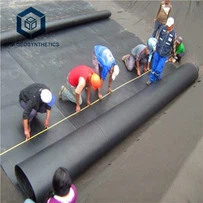 養魚場の池ライナー HDPE ジオメンブレン シート